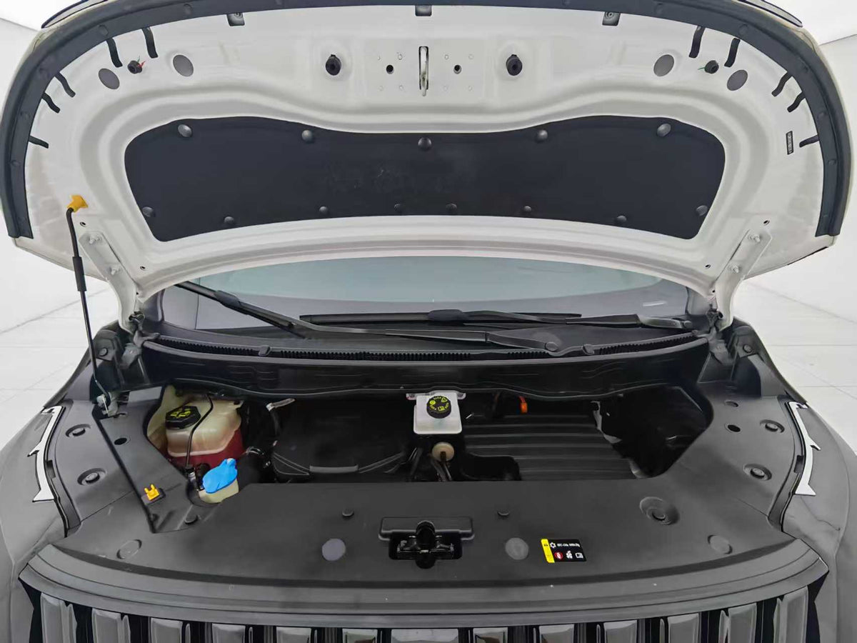 EV Wei brand, Alpine 2023, 4WD flagship version, EXW price: $27389