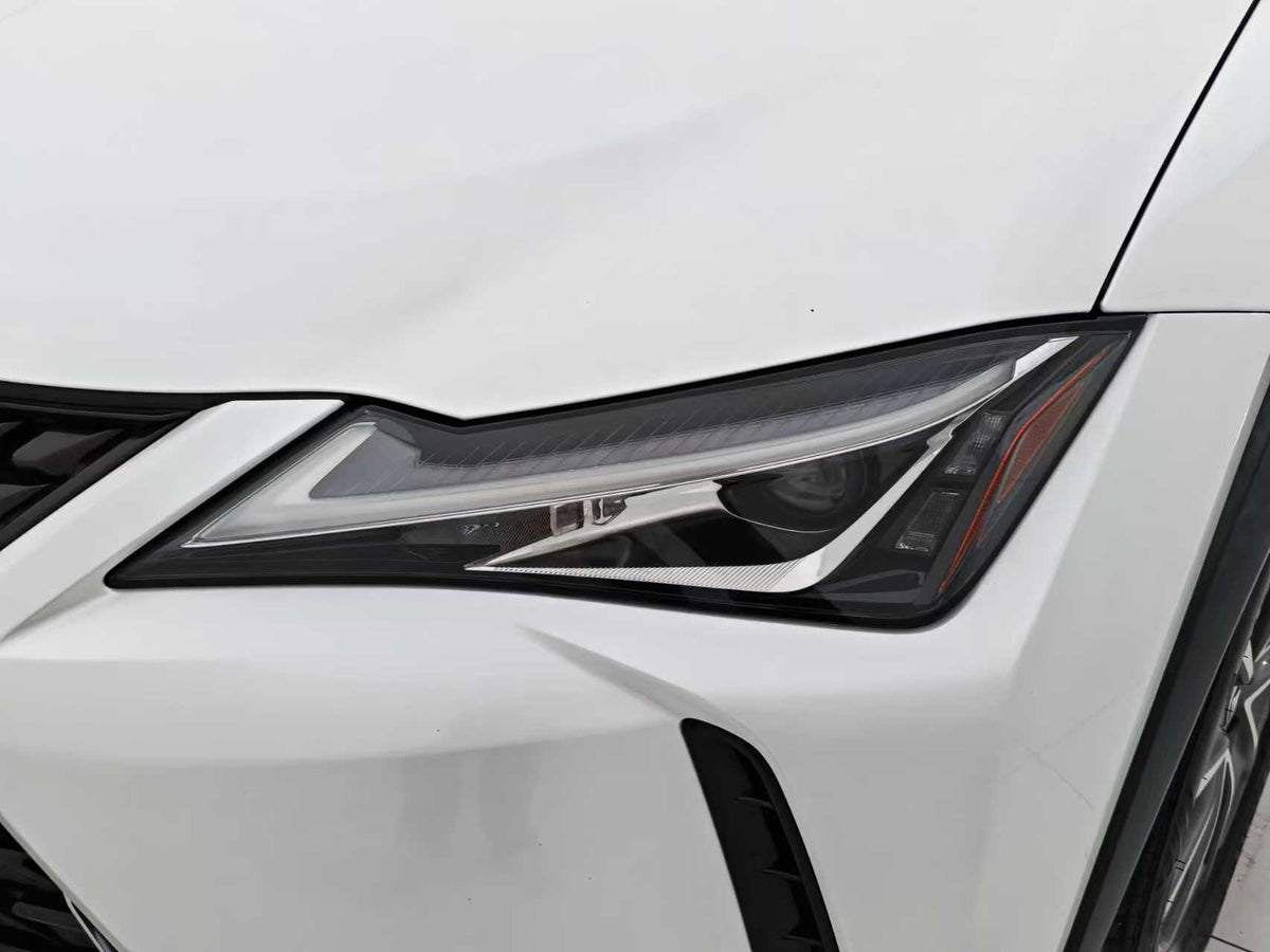 EV Lexus UX New Energy 2020 300e Pure · Yue Edition, EXW Price: $17,912
