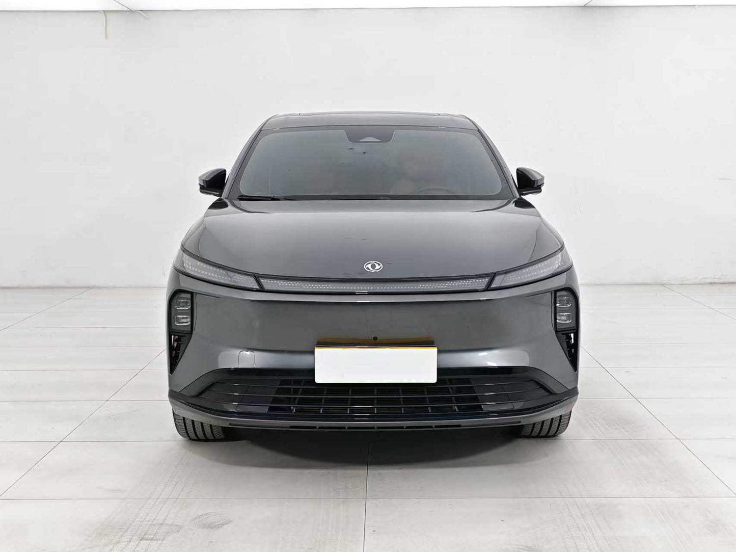 Dongfeng Fengshen L8 2025, Dongfeng L8 185KM Dream Edition, EW, EXW Price: $13,606