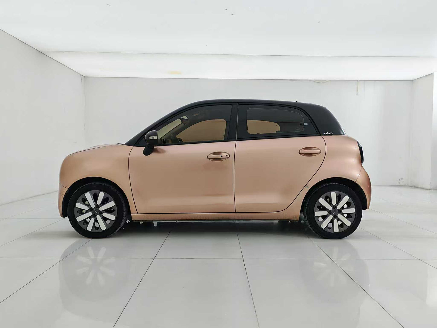 Euler Black Cat 2021 351km Luxury, EW, EXW Price: $5,156