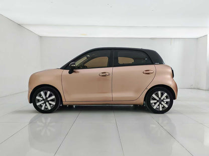Euler Black Cat 2021 351km Luxury, EW, EXW Price: $5,156