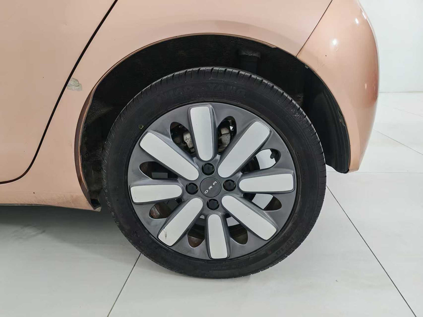 Euler Black Cat 2021 351km Luxury, EW, EXW Price: $5,156