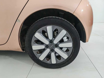 Euler Black Cat 2021 351km Luxury, EW, EXW Price: $5,156