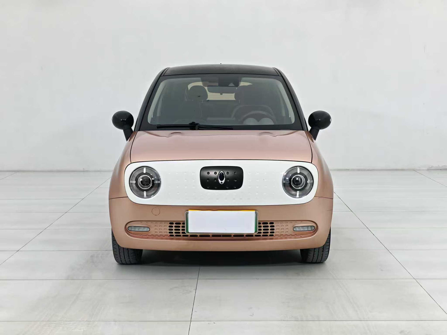 Euler Black Cat 2021 351km Luxury, EW, EXW Price: $5,156