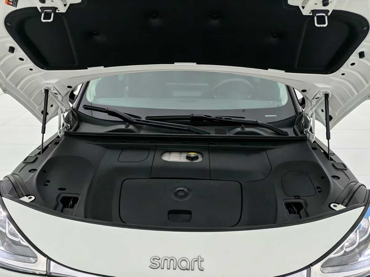 EV smart wizard 1 2024 models, smart standard version, EXW price: $15094