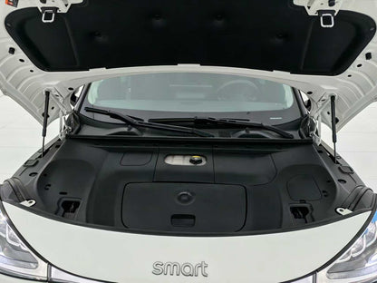 EV smart wizard 1 2024 models, smart standard version, EXW price: $15094