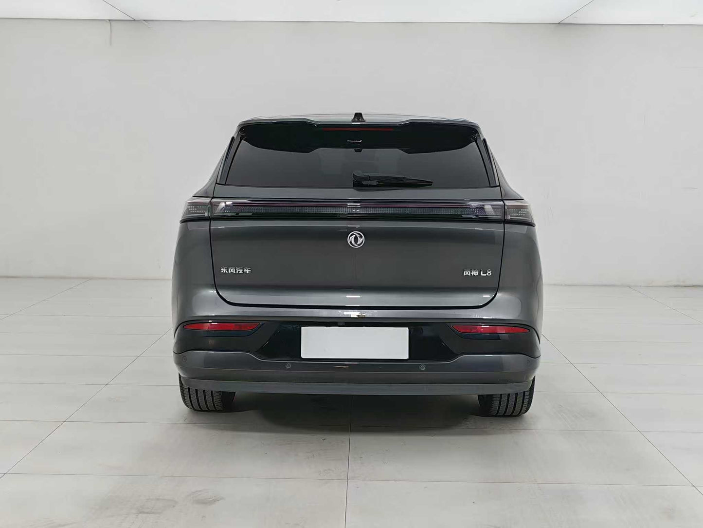 Dongfeng Fengshen L8 2025, Dongfeng L8 185KM Dream Edition, EW, EXW Price: $13,606