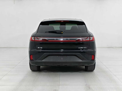 EV SERES Cyrus, Cyrus SF5 2020, two-wheel drive high-performance sports version, EXW price: $10,644