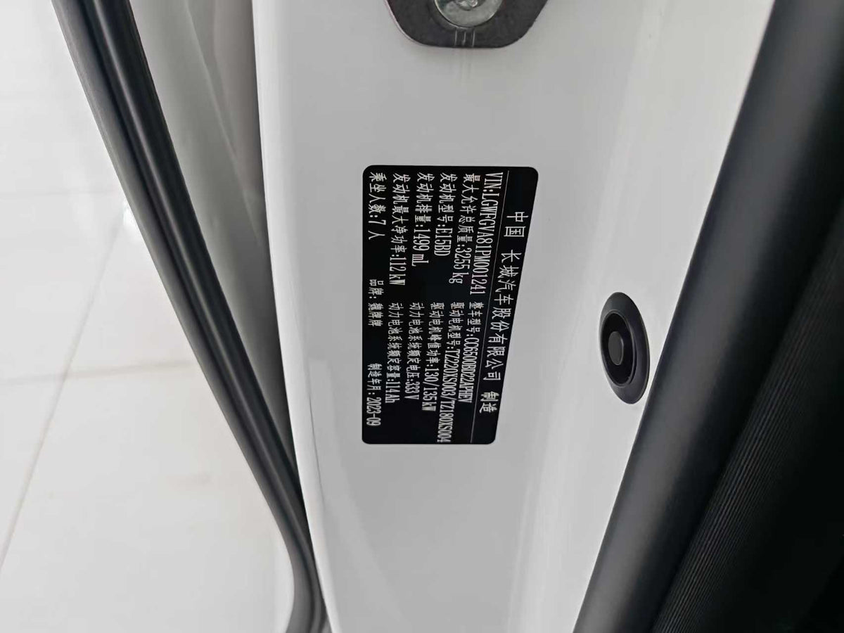 EV Wei brand, Alpine 2023, 4WD flagship version, EXW price: $27389