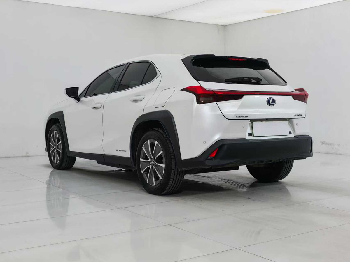 EV Lexus UX New Energy 2020 300e Pure · Yue Edition, EXW Price: $17,912