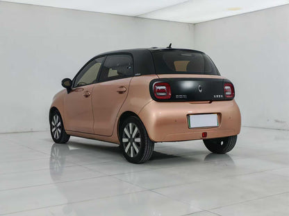 Euler Black Cat 2021 351km Luxury, EW, EXW Price: $5,156