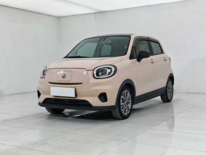 EV Zero Run Car, Zero Run T03 2021 400 Deluxe Edition, EXW Price: $5753