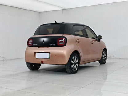 Euler Black Cat 2021 351km Luxury, EW, EXW Price: $5,156