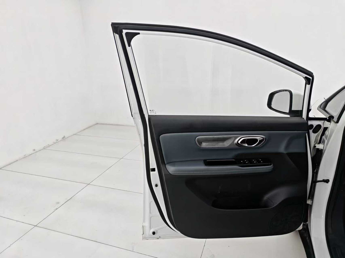 EV AION Y 2023 Younger Star Edition, EXW Price: $11341