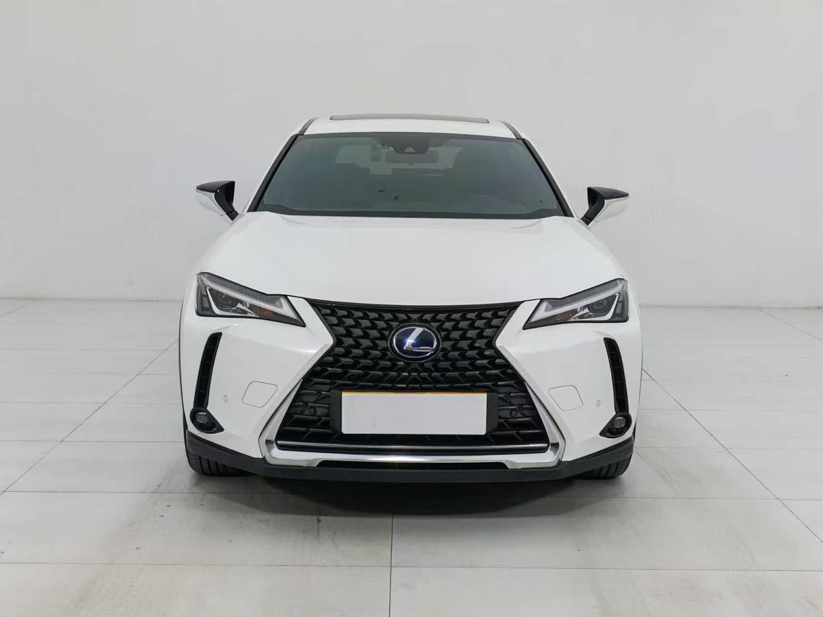 EV Lexus UX New Energy 2020 300e Pure · Yue Edition, EXW Price: $17,912