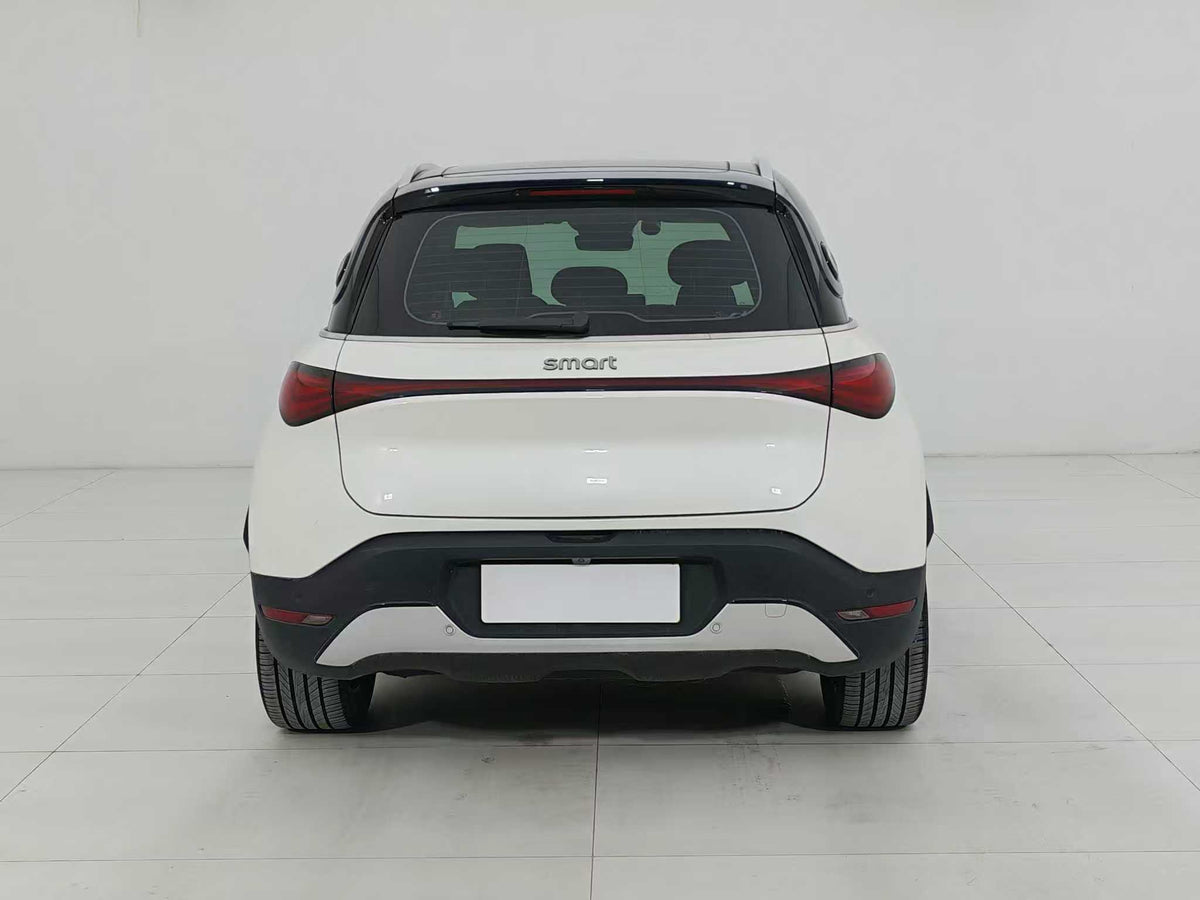 EV smart wizard 1 2024 models, smart standard version, EXW price: $15094