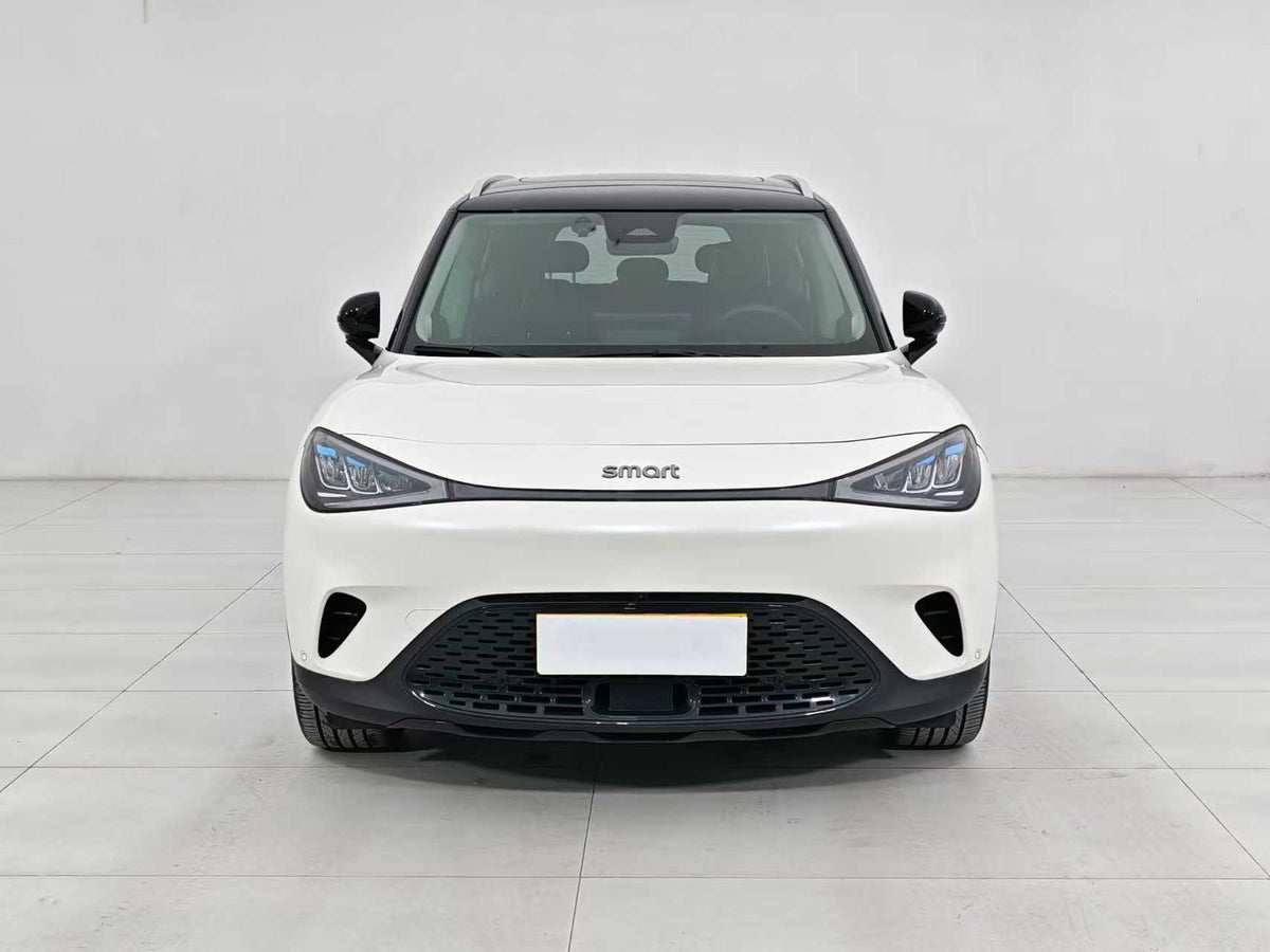 EV smart wizard 1 2024 models, smart standard version, EXW price: $15094