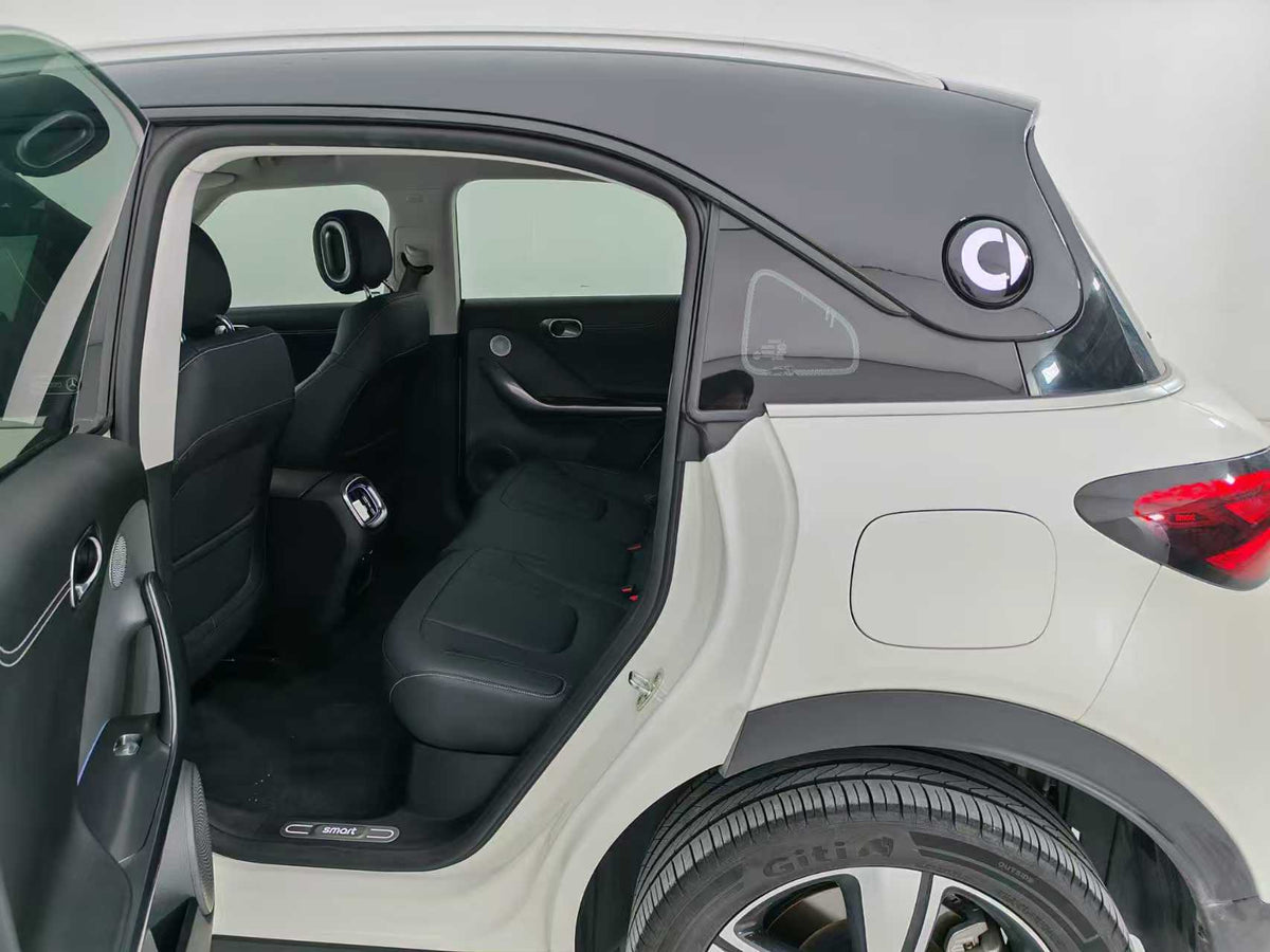 EV smart wizard 1 2024 models, smart standard version, EXW price: $15094