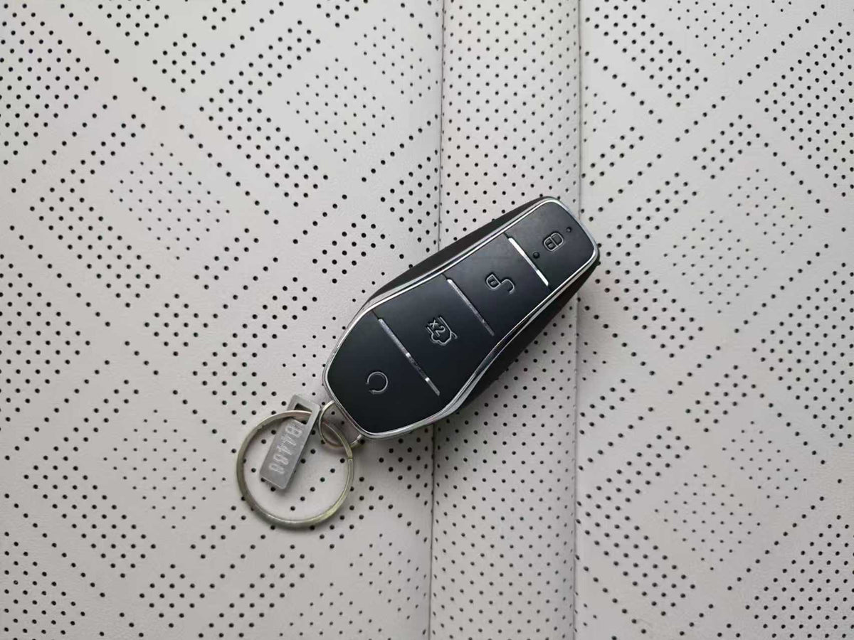 EV BYD, UP 2024 401KM Beyond Type, EXW Price: $11341