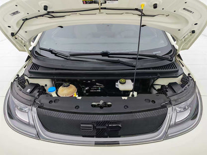 BYD, Dolphin 2023 420km Fashion Edition, EW, EXW Price: $9159