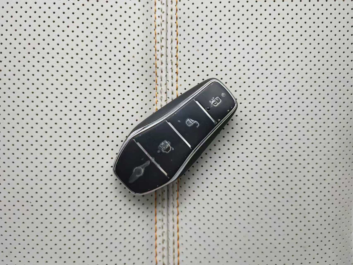 EV BYD, Qin PLUS 2023, Champion Edition DM-i 55KM Leading Type, EXW Price: $6938