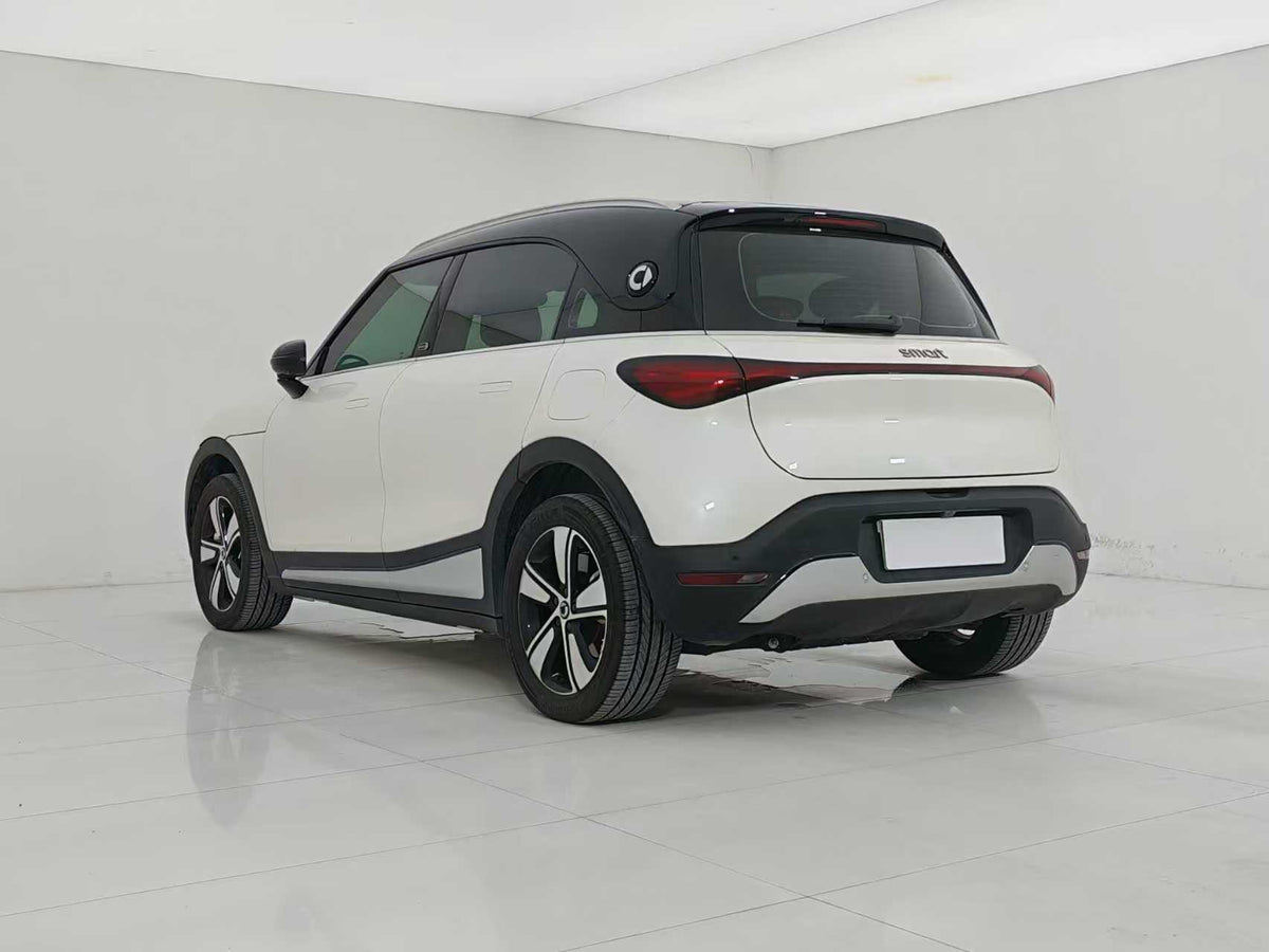EV smart wizard 1 2024 models, smart standard version, EXW price: $15094