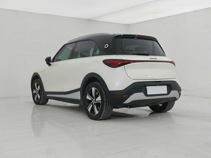EV smart wizard 1 2024 models, smart standard version, EXW price: $15094