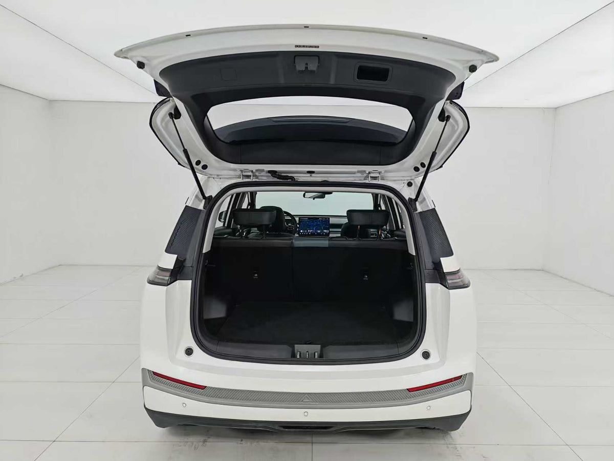EV AION Y 2023 Younger Star Edition, EXW Price: $11341