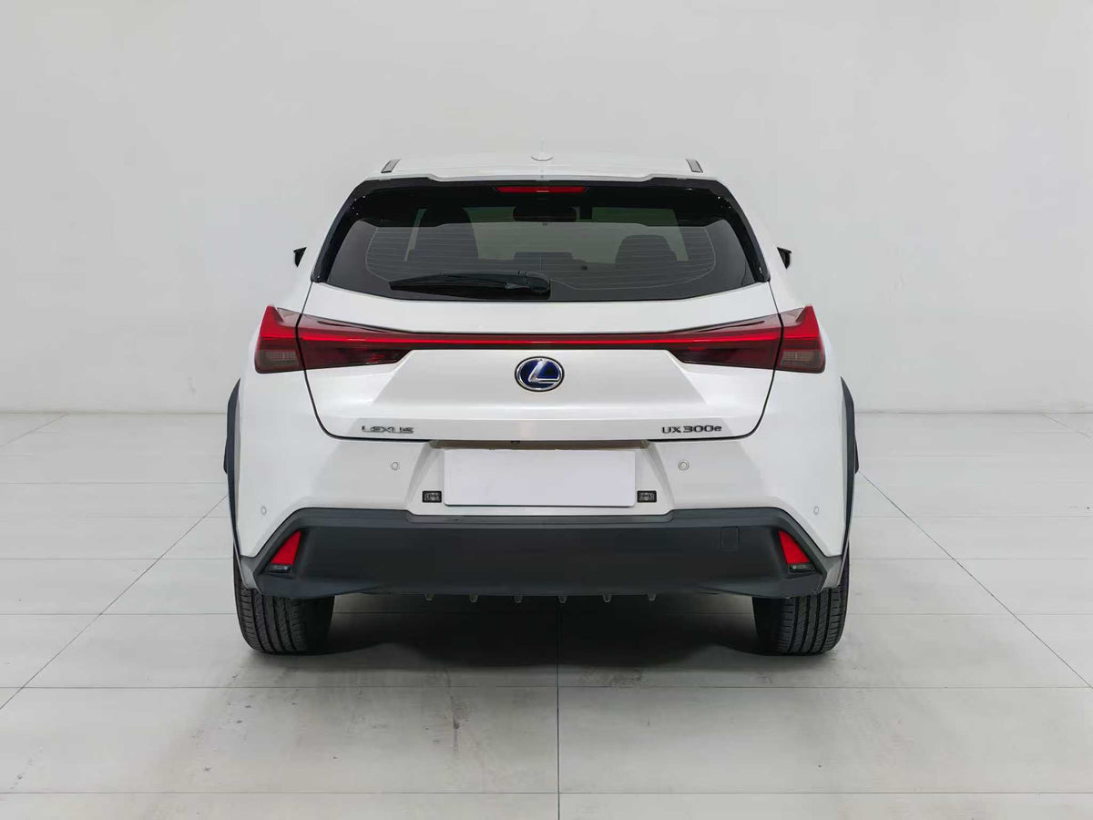 EV Lexus UX New Energy 2020 300e Pure · Yue Edition, EXW Price: $17,912