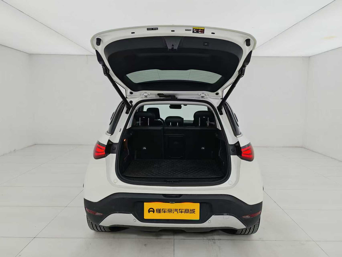 EV smart wizard 1 2024 models, smart standard version, EXW price: $15094