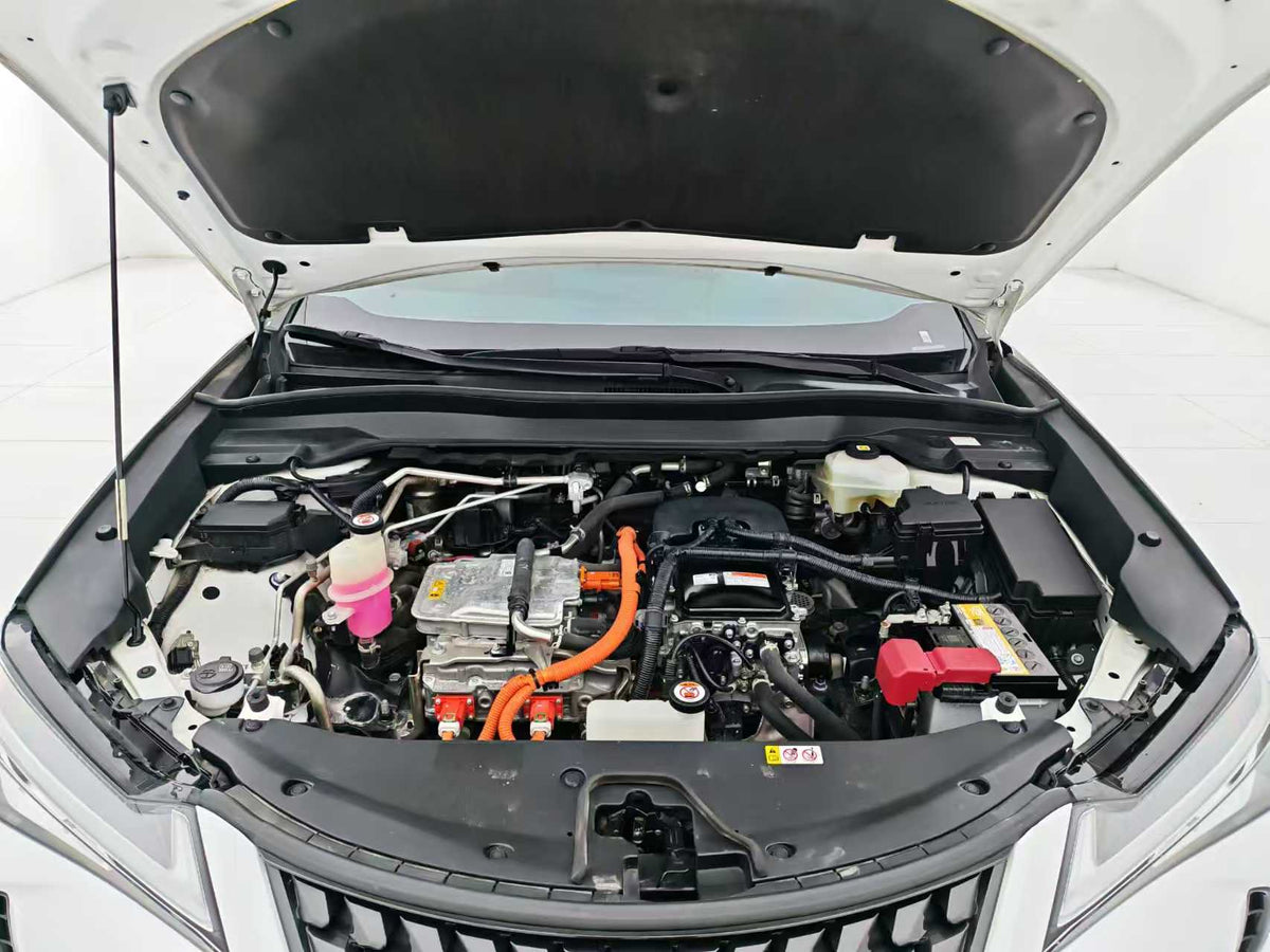 EV Lexus UX New Energy 2020 300e Pure · Yue Edition, EXW Price: $17,912