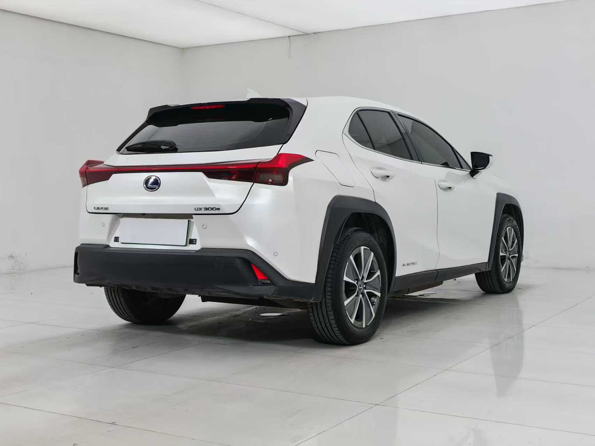EV Lexus UX New Energy 2020 300e Pure · Yue Edition, EXW Price: $17,912