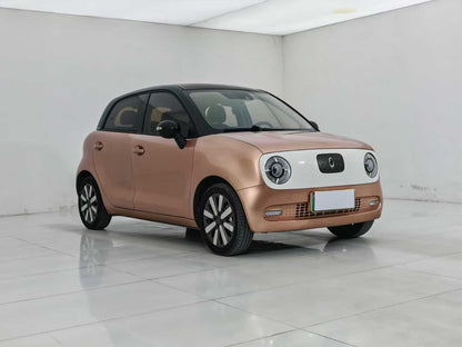 Euler Black Cat 2021 351km Luxury, EW, EXW Price: $5,156