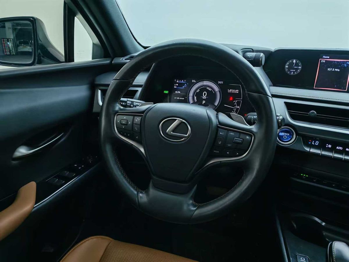 EV Lexus UX New Energy 2020 300e Pure · Yue Edition, EXW Price: $17,912