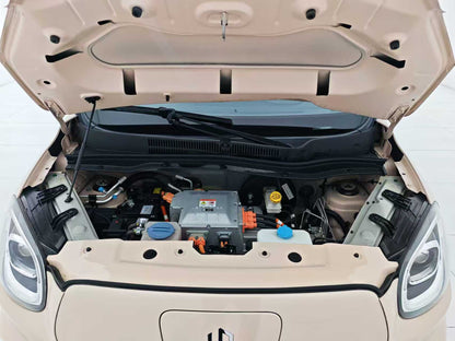 EV Zero Run Car, Zero Run T03 2021 400 Deluxe Edition, EXW Price: $5753