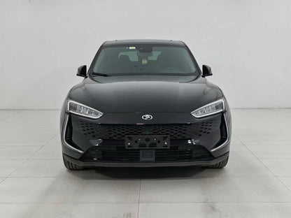 EV SERES Cyrus, Cyrus SF5 2020, two-wheel drive high-performance sports version, EXW price: $10,644