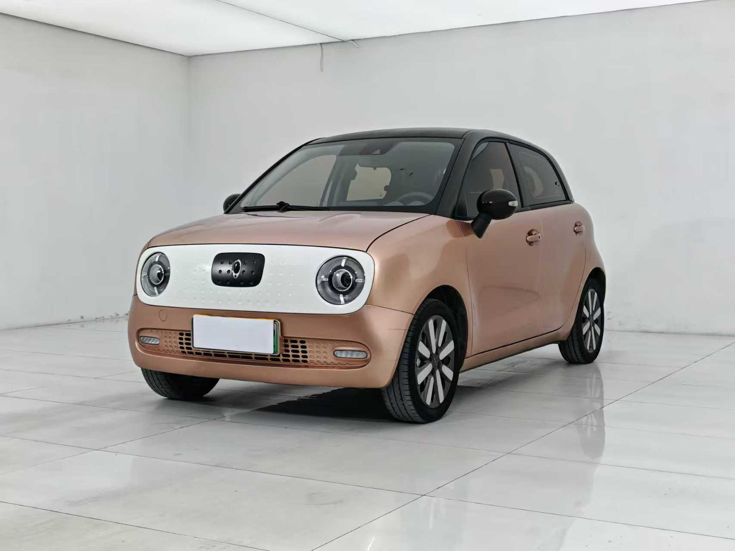 Euler Black Cat 2021 351km Luxury, EW, EXW Price: $5,156