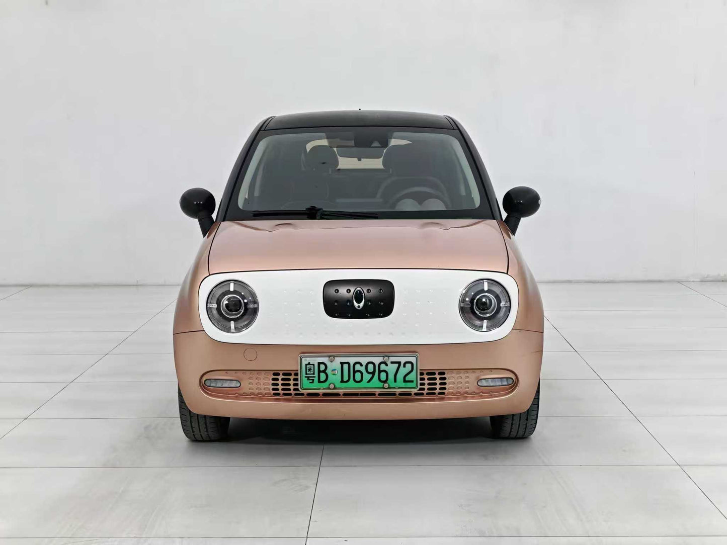 Euler Black Cat 2021 351km Luxury, EW, EXW Price: $5,156
