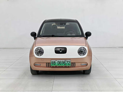 Euler Black Cat 2021 351km Luxury, EW, EXW Price: $5,156