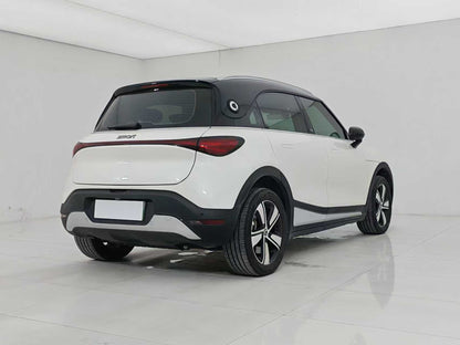 EV smart wizard 1 2024 models, smart standard version, EXW price: $15094