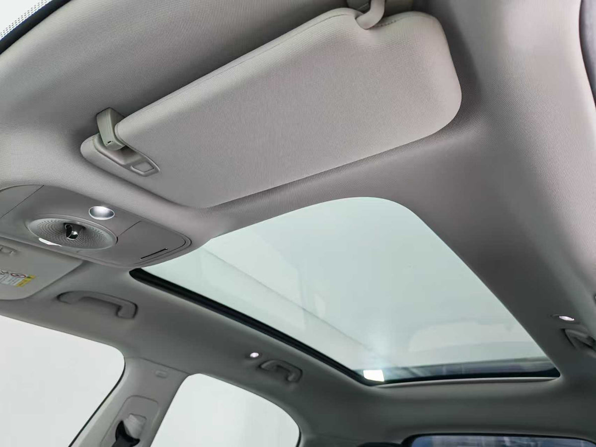 EV smart wizard 1 2024 models, smart standard version, EXW price: $15094