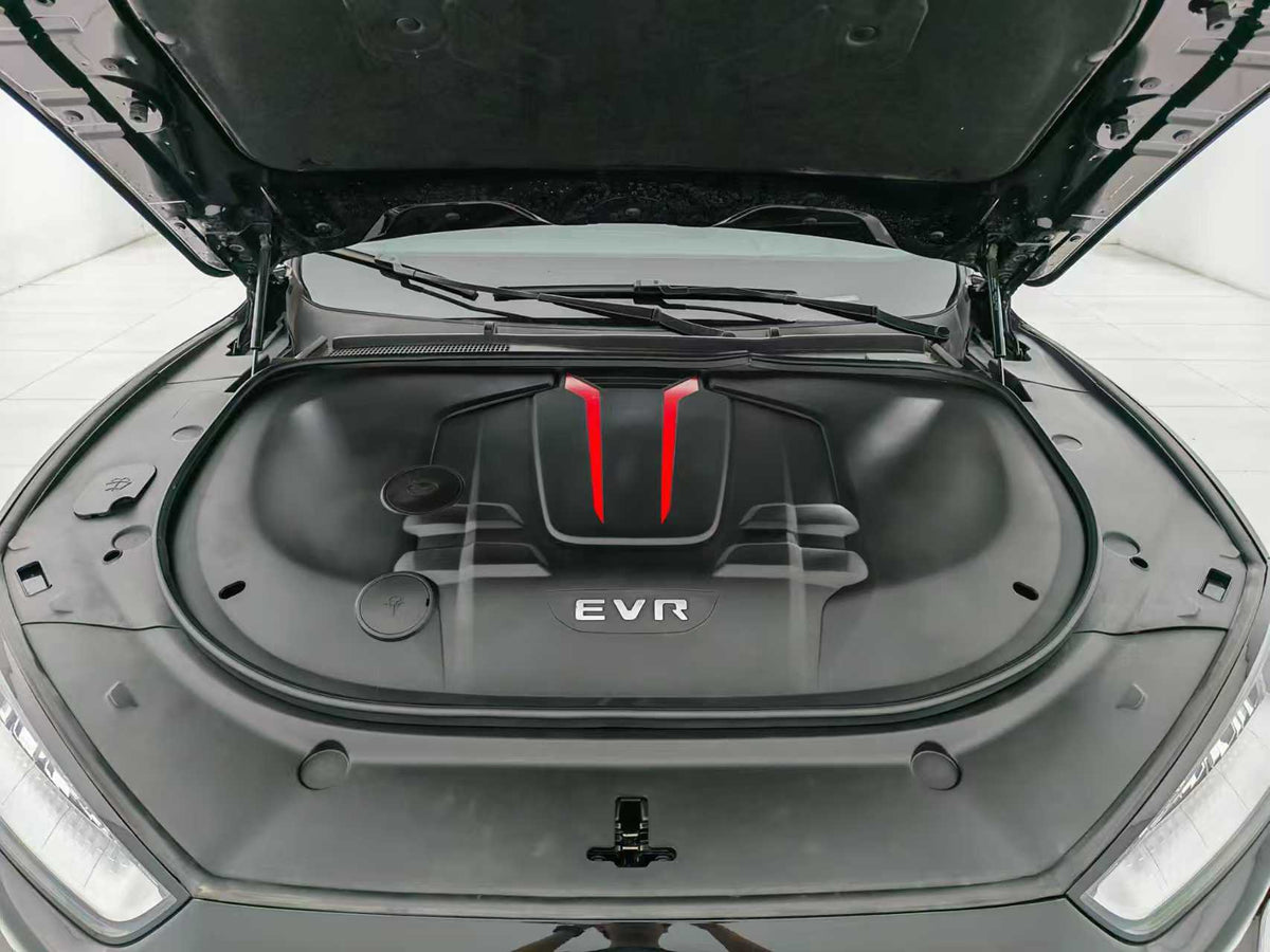 EV SERES Cyrus, Cyrus SF5 2020, two-wheel drive high-performance sports version, EXW price: $10,644