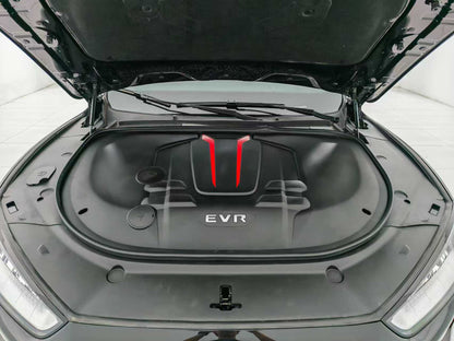 EV SERES Cyrus, Cyrus SF5 2020, two-wheel drive high-performance sports version, EXW price: $10,644