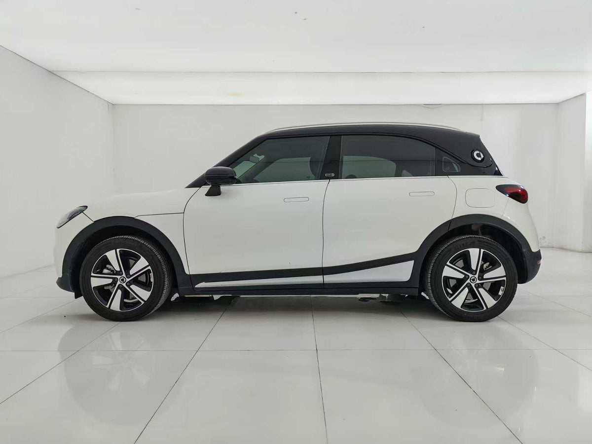 EV smart wizard 1 2024 models, smart standard version, EXW price: $15094