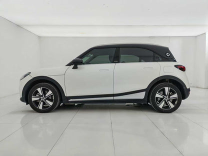 EV smart wizard 1 2024 models, smart standard version, EXW price: $15094
