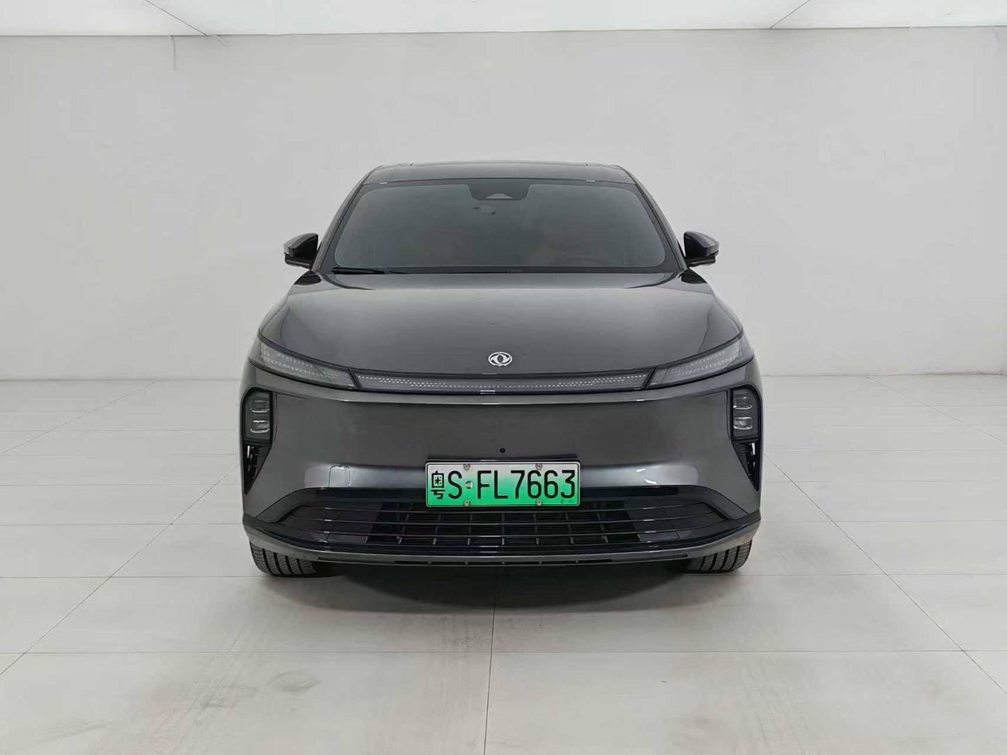 Dongfeng Fengshen L8 2025, Dongfeng L8 185KM Dream Edition, EW, EXW Price: $13,606
