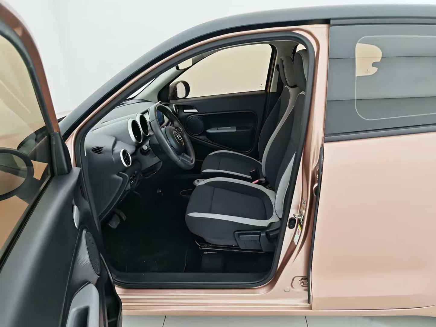 Euler Black Cat 2021 351km Luxury, EW, EXW Price: $5,156