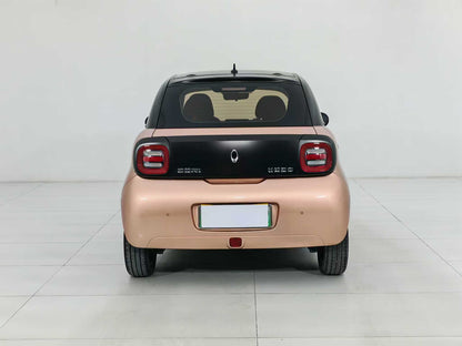 Euler Black Cat 2021 351km Luxury, EW, EXW Price: $5,156