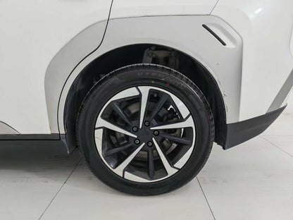 EV AION Y 2023 Younger Star Edition, EXW Price: $11341